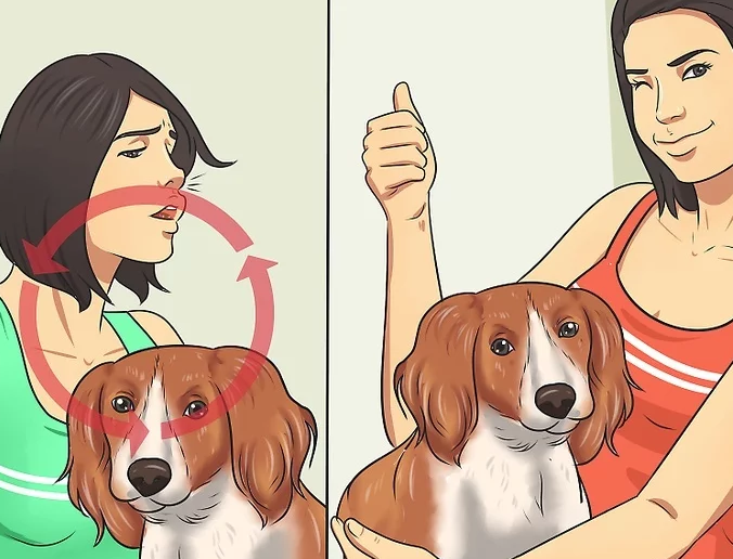 <위키하우 알레르기 화면 캡처>