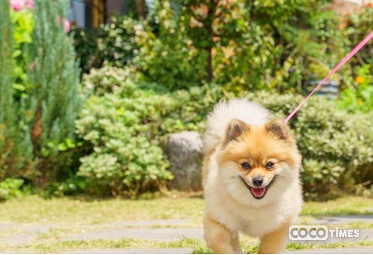<부산관광공사 홈페이지 화면 캡처> 