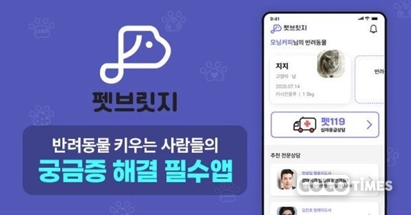 반려동물 상담 플랫폼 펫브릿지 <앤리시 제공>