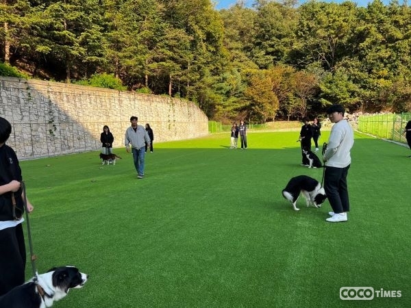 용인예술과학대의 반려동물 야외훈련장이 완공되었다 <용인예술과학대 제공>