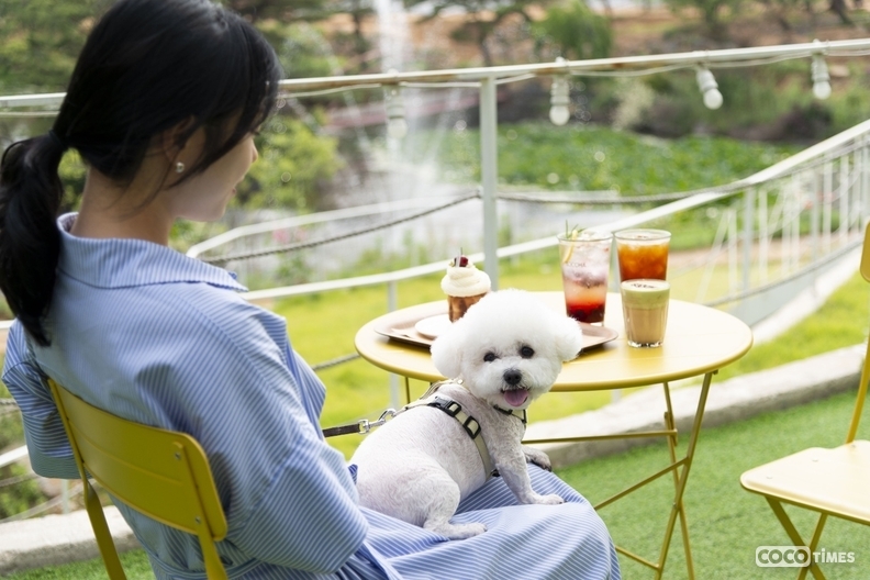 김포시가 공공진료센터 개소를 일정대로 추진한다 <김포시청 홈페이지>