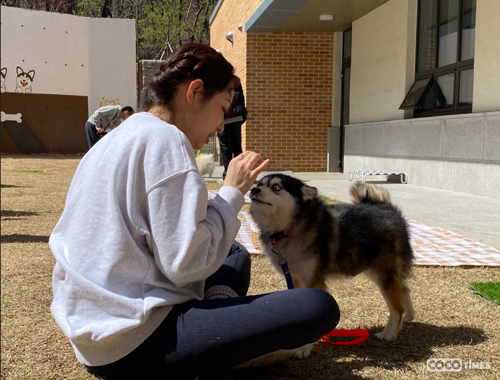 경기도가 입양활성화를 위해 시작한 ‘반려마루 짝꿍들’ 첫 번째 행사에 블루엔젤 연예인 봉사단 등 방송인 20여 명이 참여했다 <경기도청 제공>