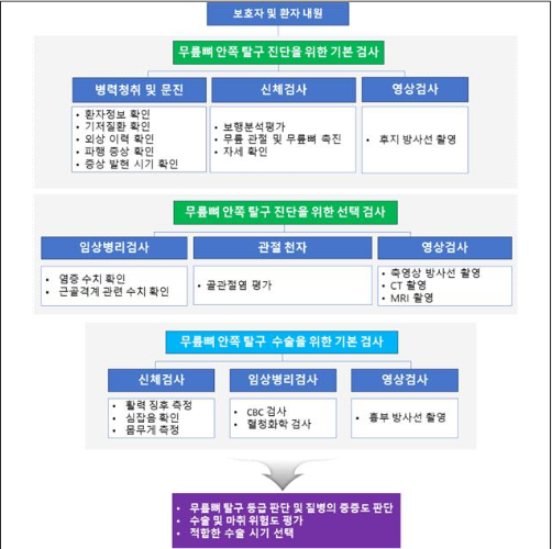 농식품부가 고시한 ‘동물진료의 권장 표준’ 제정 전문 가운데 무릎뼈 안쪽 탈구 수술 <농림축산식품부 제공>