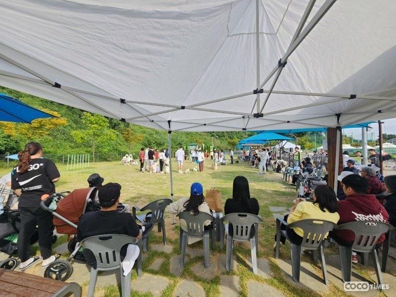 평택시, 반려동물 인식개선 문화 페스티벌 성황리 개최 <평택시 제공>