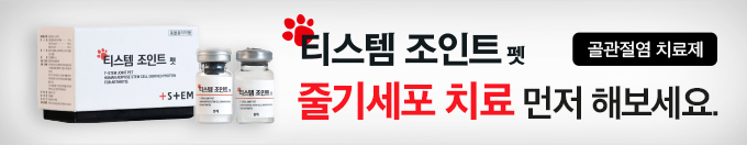 배너