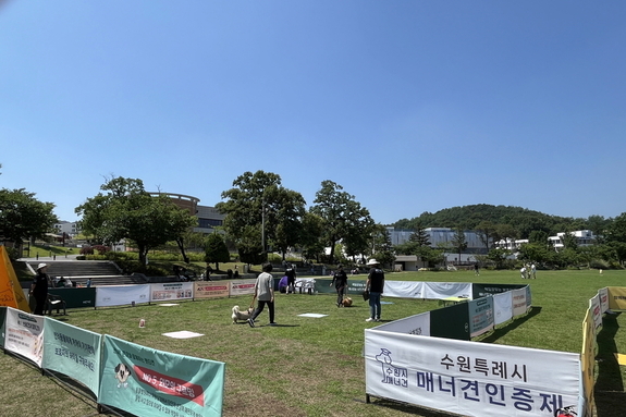 수원에서 가장 매너 있는 반려견
