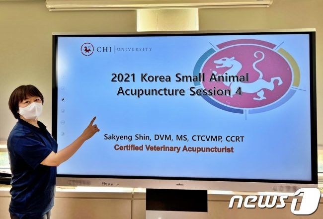 신사경 치 유니버시티 한국지사장이 25일 서울 성북구 VIP동물의료센터에서 반려동물 침치료 강의를 하고 있다. © 뉴스1 최서윤 기자