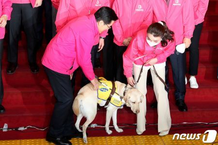 황교안 당시 미래통합당 대표가 안내견 '조이'를 쓰다듬고 있다. 2020.4.1/뉴스1