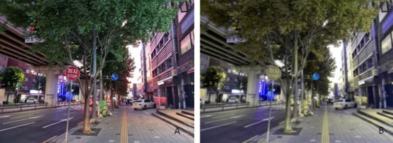 사람의 시선으로 본 풍경(A)과 개의 시선으로 본 풍경(B). 개의 경우 녹색맹에 가까우며 빨간색보다 녹색에 가까운 노란색을 구분할 수 있다.(김준영 교수 제공) © 뉴스1