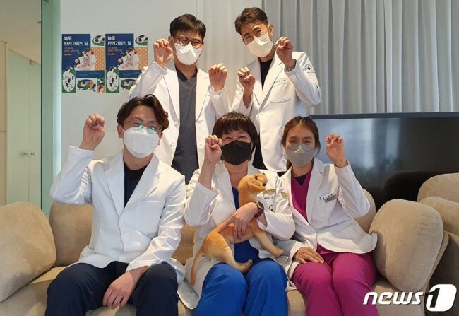 9일 서울 강남구 놀로에서 강의를 진행한 VIP동물한방재활센터 수의사들 © 뉴스1 최서윤 기자