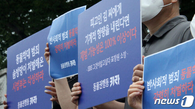 경북 포항에서 길고양이 10여마리를 잔혹하게 죽인 혐의로 구속 기소된 30대 남성 A씨에게 징역 3년이 구형됐다.공판을 지켜본 동물보호단체회원들이 법원 앞에서 피켓시위를 하고 있다.2022.8.24/뉴스1 최창호 기자