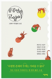 공공연한 고양이