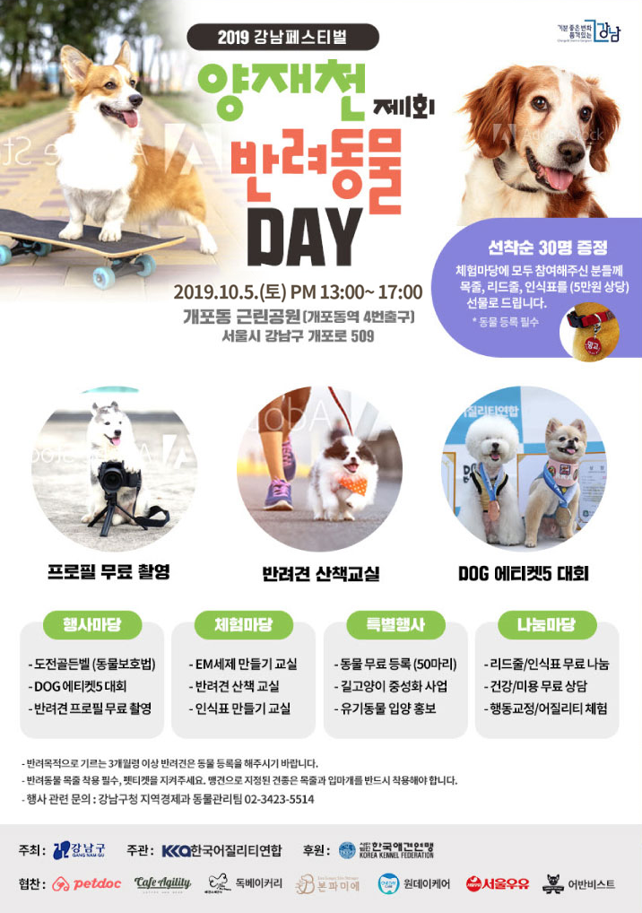 강남구와 금천구 반려동물 축제