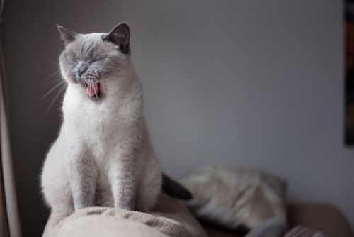 <출처 : by Phil Kay, flickr(All Rights Reserved) //www.flickr.com/photos/_philk/31832793703>