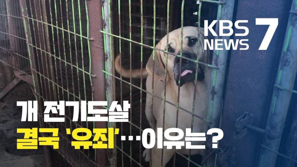 KBS 뉴스7 캡처