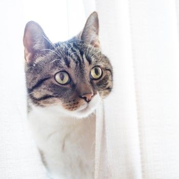 출처 Unsplash COCOTimes