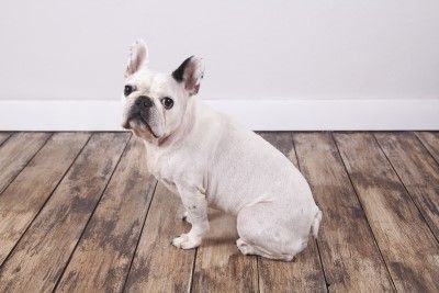 출처 클립아트코리아 COCOTimes