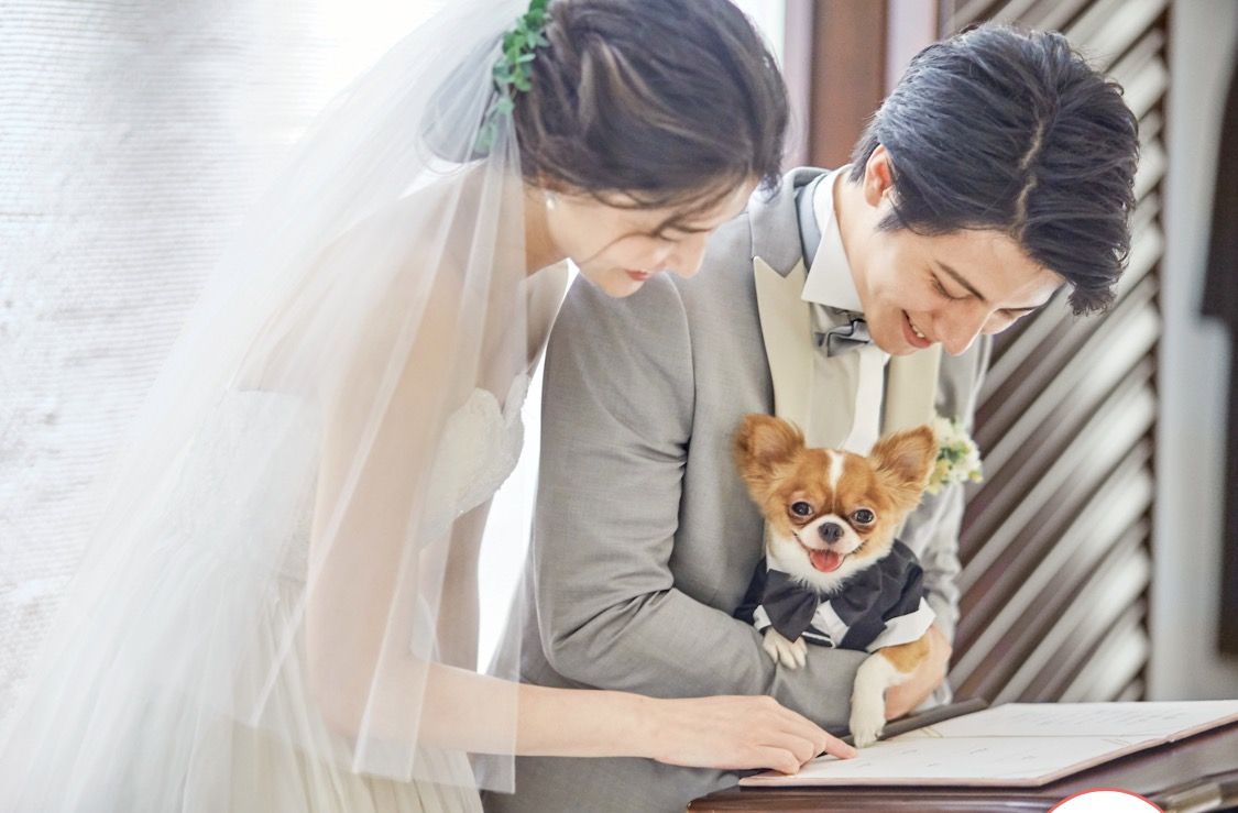 신랑 신부의 결혼서약서에 발 도장을 찍는 강아지.