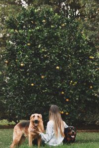 출처 Unsplash
