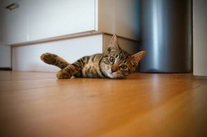 출처 Unsplash