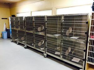 출처 UC Davis Koret Shelter Medicine Program 고양이 구멍 설치 우리