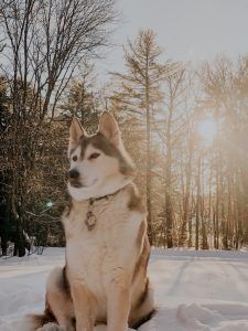 출처 Unsplash