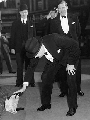 출처 TIME, 'Top 10 Pets in Power'- 'Churchill's Cats'