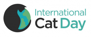 '2020 세계 고양이의 날'(International Cat Day)