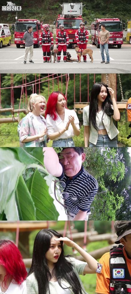 KBS 2TV '개는 훌륭하다'
