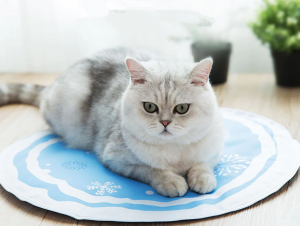 출처 클립아트코리아