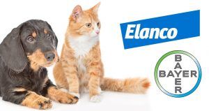 출처 Today's Veterinary Business 엘랑코 바이엘