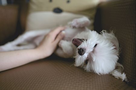 출처 클립아트코리아