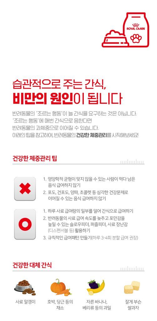 출처 로얄캐닌코리아