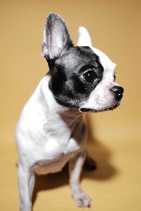 출처 Unsplash