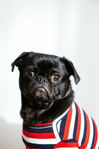 출처 Unsplash