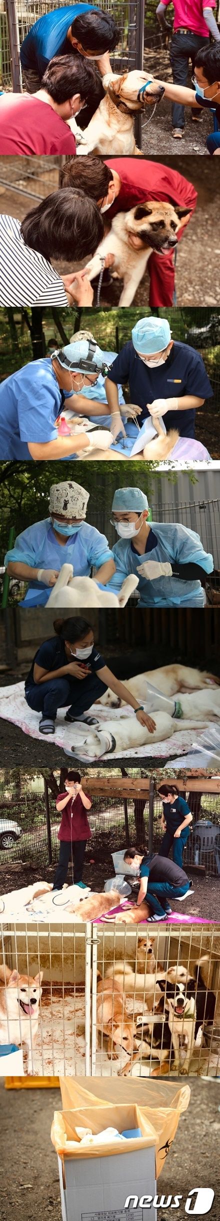 출처 뉴스원