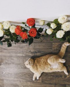 출처 Unsplash
