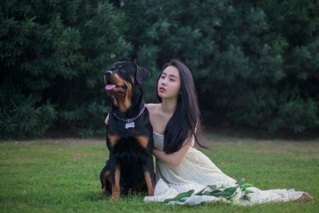 '펫 웨딩 컨시어지 서비스'