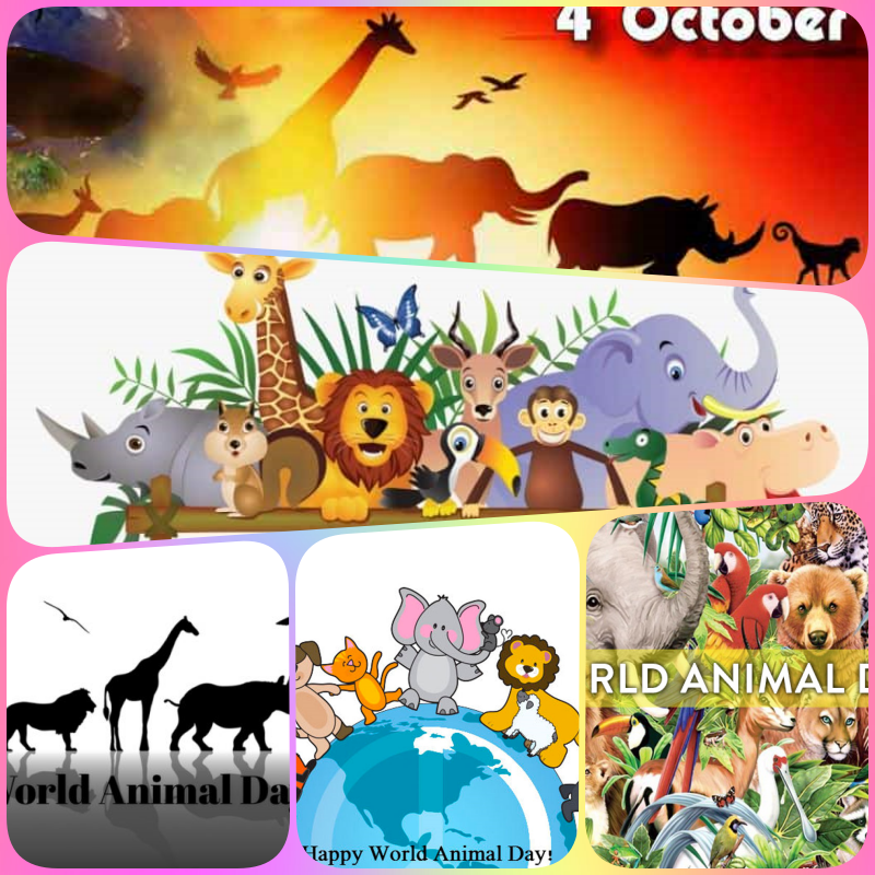 10월 4일은 '세계 동물의 날'(World Animal Day)이다.