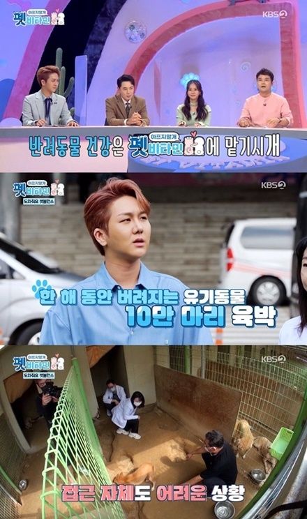 출처 KBS-2TV '펫비타민'