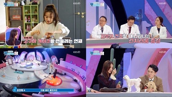 출처 KBS-2TV '펫비타민'