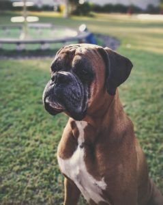 출처 Unsplash