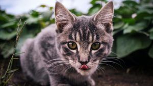 출처 Unsplash