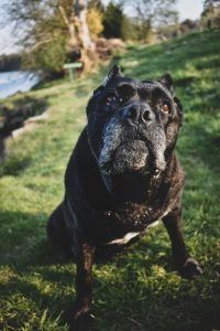 출처 Unsplash