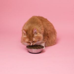 출처 Unsplash