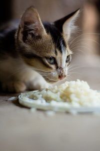 출처 Unsplash