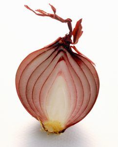 출처 클립아트코리아 고양이에게 해로운 음식