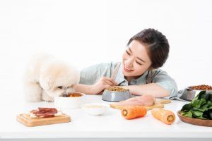 출처 클립아트코리아 강아지 슈퍼푸드