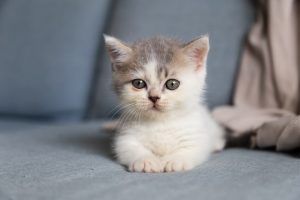 출처 Unsplash