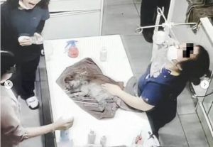 출처 뉴스원